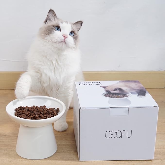 Extra Wide Elevated Ceramic Cat Bowl - 6.2" Shallow Dish for Whisker Fatigue Relief, 5" Height for Easy Feeding, Lead & Cadmium Free, Durable Raised Cat Food Bowls, White