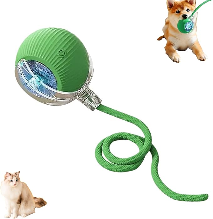 Interactive Cat Toy Ball for Indoor Cats - 3-Speed Smart Rolling Ball with Flashing Lights, USB Rechargeable Automatic Motion Kitten Toys for Bored Adult Cats & Playful Kittens
