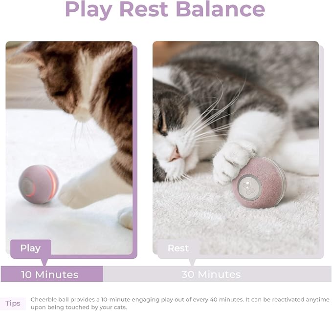 Cheerble Hoochii Smart Interactive Cat Toy, 3 Interactive Modes Automatic Moving Bouncing Rolling Ball for Indoor Cat Kitten Birthday Gift, Self Rotating Ball with Lights and Bell, USB Rechargeable