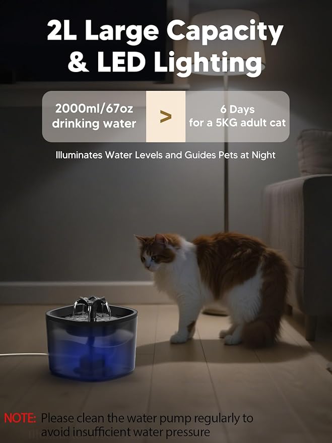 Automatic Cat Feeder and Water Fountain, 5L/20 Cups Timed Cat Dry Food Dispenser, 10s Meal Call, 20 Portions 6 Meals Per Day, 2L Cats Fountains for Drinking with Filter, Pet Feeder for Dog Black