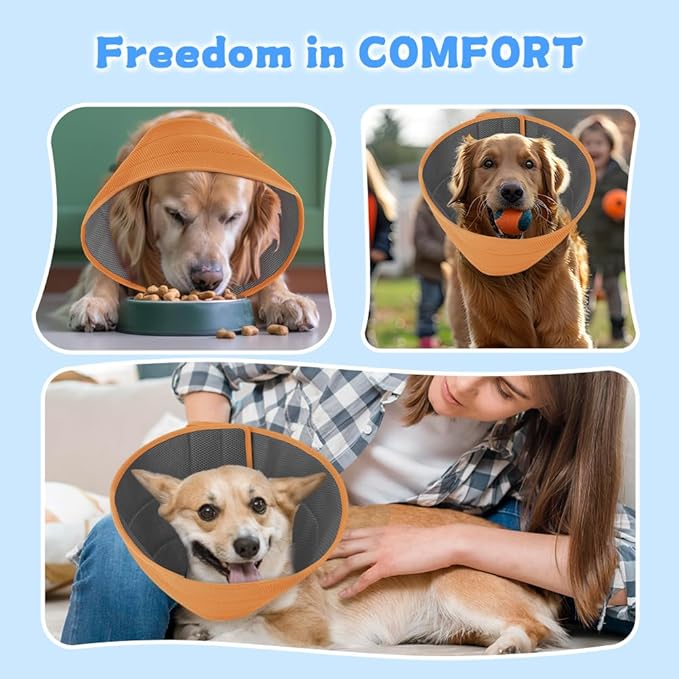 Inspack Soft Dog Cone Collar Alternative, E Cones for Small Dogs/Cat/Puppy to Stop Licking after Surgery, Comfortable All Paws Comfy Elizabethan Collars, Neuter Recovery Ecollars of Shame Alternatives
