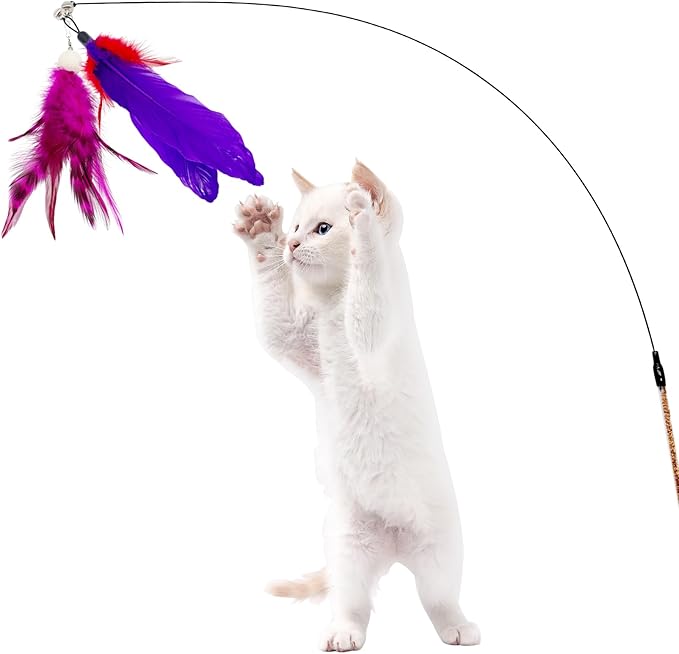 15 Pieces Cat Feather Toy Refills, Cat Toys Wand Replacement Attachments Assorted Feathers Toy for Indoor Cats