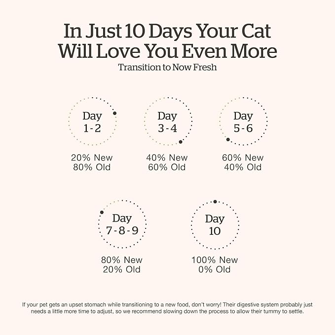 Now Fresh Grain-Free Senior Dry Cat Food with Turkey, Salmon & Duck, Premium Kibble Made with Real Meat & Fish, Chicken-Free Recipe, Supports Healthy Weight Management, 16 lb Bag