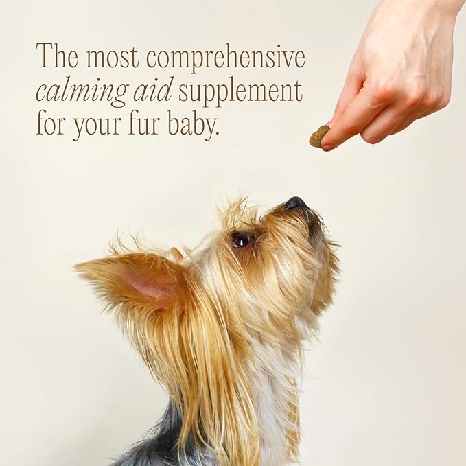 pawTree Chillax - Natural Calming Hemp Chews for Dogs and Cats - Formula to Relieve Stress and Tension; Ease Travel, Separation Anxiety and Soothe Fear - Small Soft Chews (60 Count)