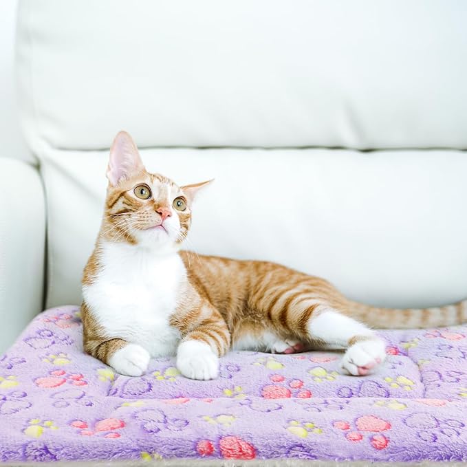 2 Pack Cat Blanket for Indoor Cat, Warm Calming Kitten & Puppy Beds for Anxiety and Stress, Washable Small Dog Mat for Crate, Fuzzy Pet Blankets
