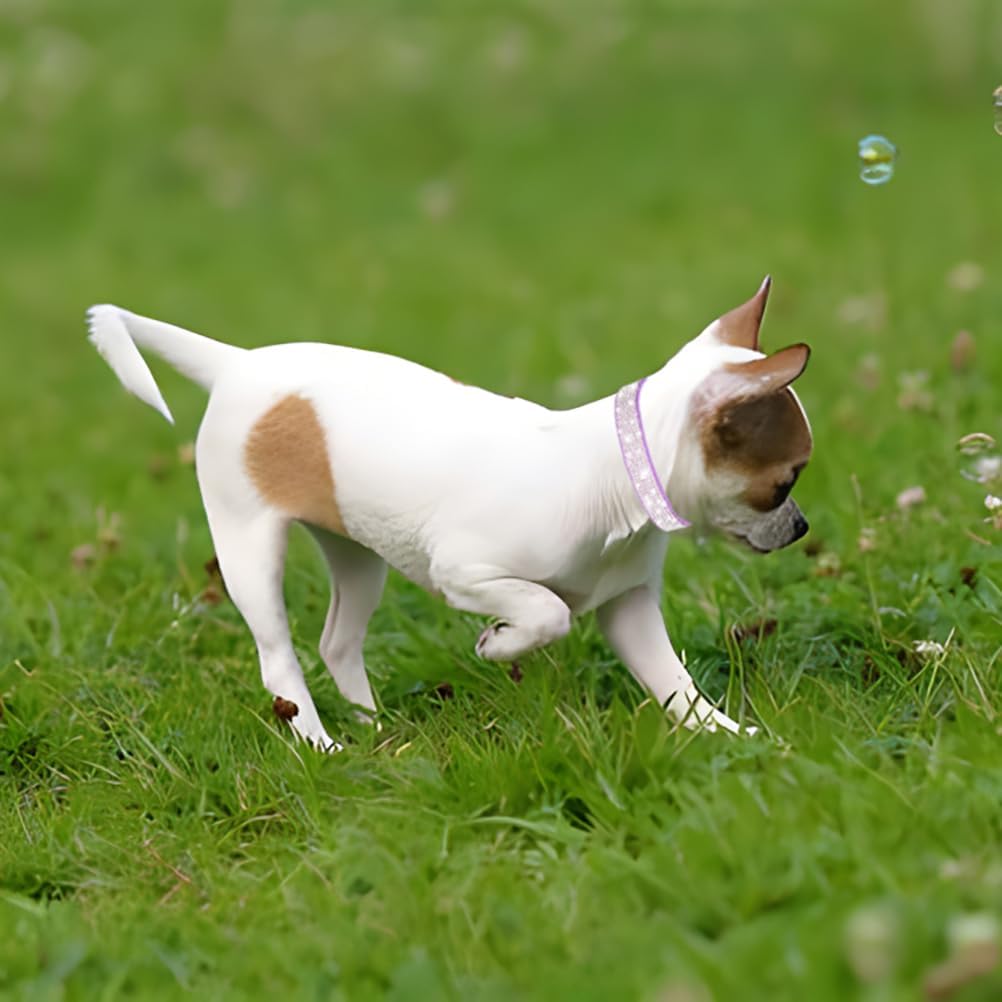 Rhinestone Dog Collar for Small Dogs, Bling Diamond Fancy Crystal Glitter Pretty Jewel Pet Puppy Collars for XXS XS Small Medium Large Breed Girl Dogs Female Cats Kitten, Hot Pink XL