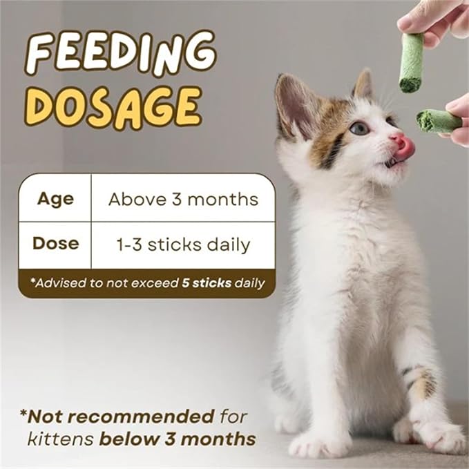 Primeco Cat Grass Teething Stick, Natural Grass Molar Rod Made of Chicken & Cat Grass, 6 PCS Per Bag for Cat Indoor Teeth Cleaning, Hairball Removal, Dental Care, Increase Appetite (2 pcs)