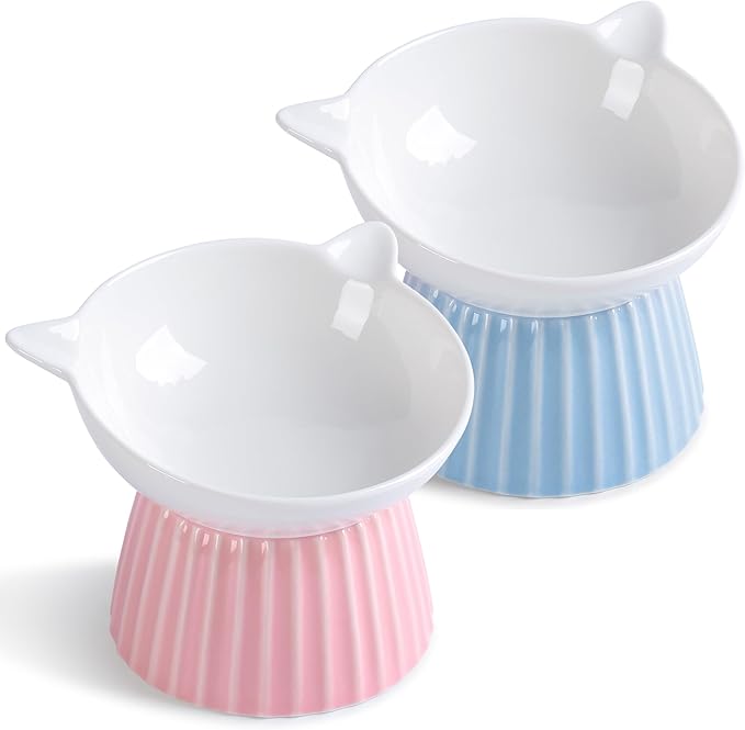 Ceramic Raised Cat Bowl，Tilted Raised Bowl Anti Vomit Bowls for Indoor Cats Whisker Friendly Pet Feeder for Cats Puppies, Microwave and Dishwasher Safe