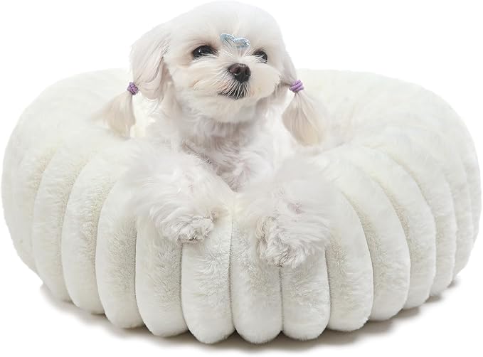 Small Cat Beds for Indoor Cats - Washable Round Kitten Bed, Cute Pumpkin Shape, Comfy Sleeping for Puppy, Small Dogs, Kitty - 19 Inch, Cream