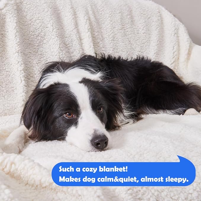 Qeils Dog Blankets for Large Dogs - Waterproof Cat Blanket Washable - Sherpa Fleece Puppy Blanket, Soft Plush Reversible Throw Protector for Bed Couch Car Sofa, 60"X80", Grey