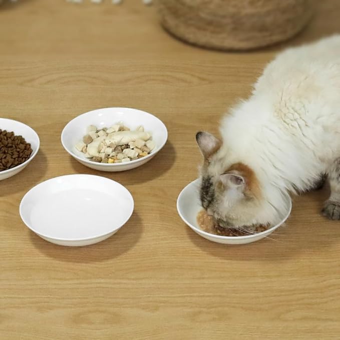 4-Pic Large Cat Bowls,No Spill,6.5" Cat Food Bowl,Anti Whisker Fatigue Healthy Ceramic Cats Dishes Set for Indoor Cats,Shallow Wide Kitten Plates for Food and Water,Non-Slip Silicone Bottom