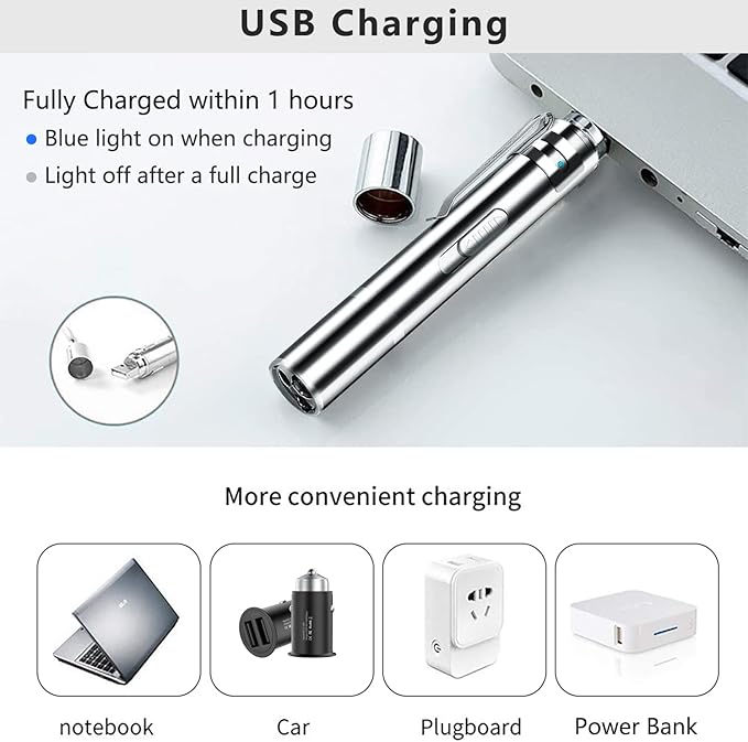 Laser Pointer Cat Toys (Silver)