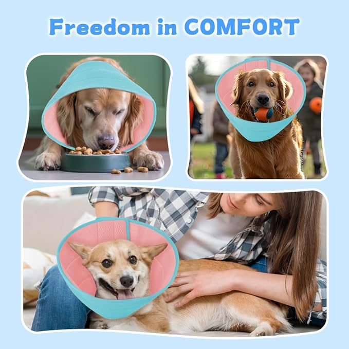 Inspack Soft Dog Cone Collar Alternative, E Cones for Small Dogs/Cat/Puppy to Stop Licking after Surgery, Comfortable All Paws Comfy Elizabethan Collars, Neuter Recovery Ecollars of Shame Alternatives