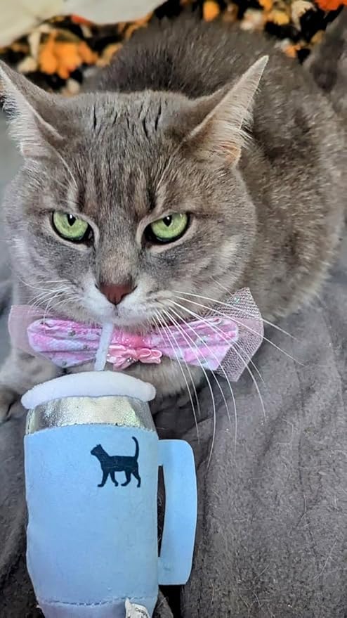 Kitty Cup Tumbler Cat Toy – Funny Cat Birthday Gifts with Catnip & Crinkle Paper, Cute Girl Kitten Toys (Chambray Blue)