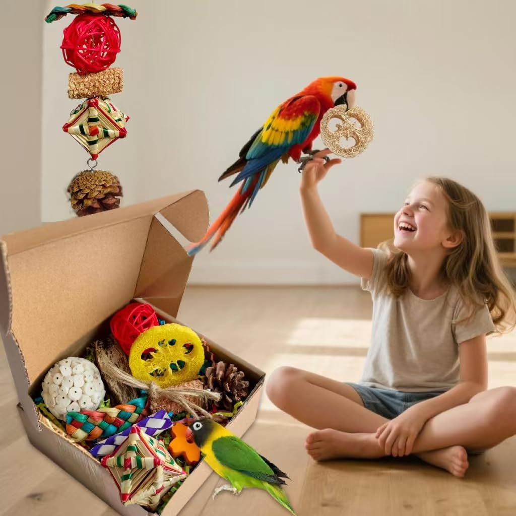 Parakeet Toys, Bird Toy Conure Grass Mat Budgie Shredder Hanging Set Cockatiel Foraging Toys Parrot Climbing Wall Toy Lovebird Cage Accessories for Small Birds (Colorful-Cockatiels Box Toys)