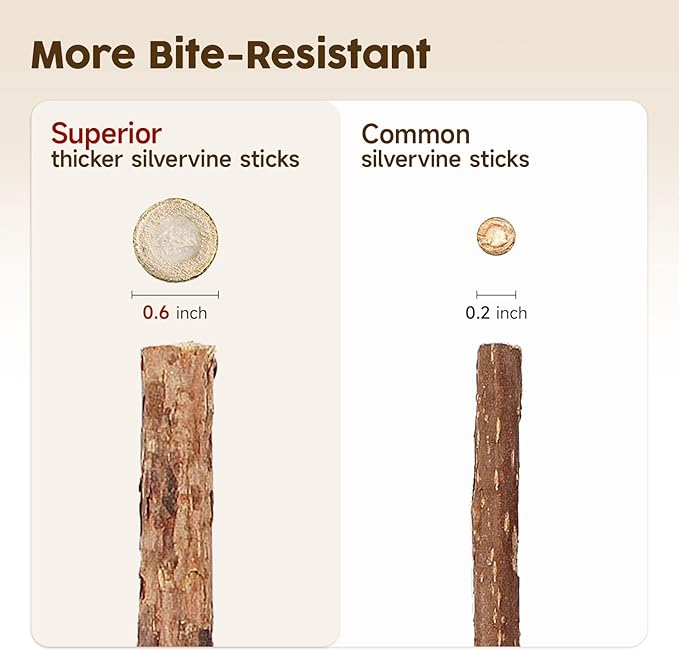 Potaroma 6 Pcs Natural Silvervine Sticks Cat Toys, Catmint Silvervine Blend Sticks, Kittens Chew Toys for Teeth Cleaning, Matatabi Dental Care Cat Treat, Edible Kitty Lick Toys