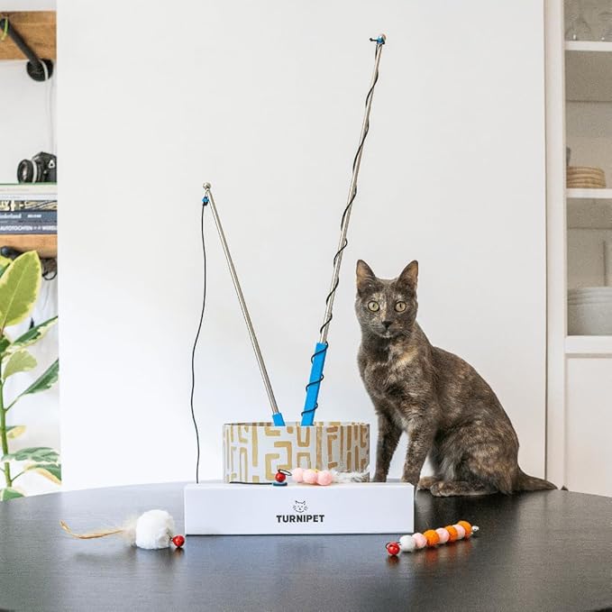 Magnetic Catch Wand (Max 40") Cat Toy – Interactive Telescoping Wand for Indoor Cats and Kittens, Magnetic Easy Catch & Release, Durable Enrichment Toy with 3 Lures