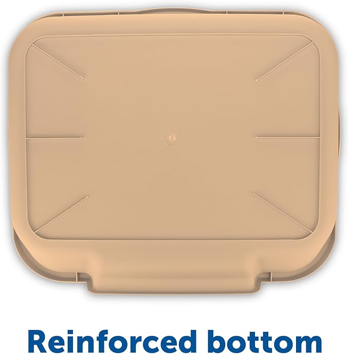 KittyGoHere Senior Cat Litter Box 1 Pack, Large Beach Sand Low Entrance Kitty Litter Box, Sized for Cats Comfort, Perfect for Senior and Arthritic Cats, Made in USA