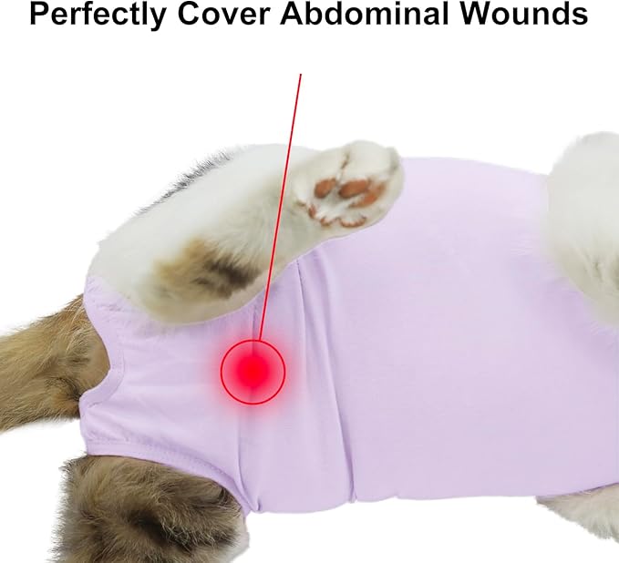 Cat Recovery Suit, Surgical Recovery Clothes for Abdominal Wound or Skin Disease, Cats Onesie After Surgery and Spay, E-Collar Alternative Pajama Suit (Purple, Medium)
