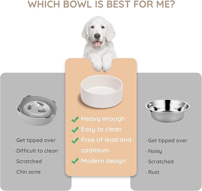 SPUNKYJUNKY 28.7OZ Ceramic Dog and Cat Bowl, Modern Cute Weighted Food Water Bowl for Replacement White (2 Pack)