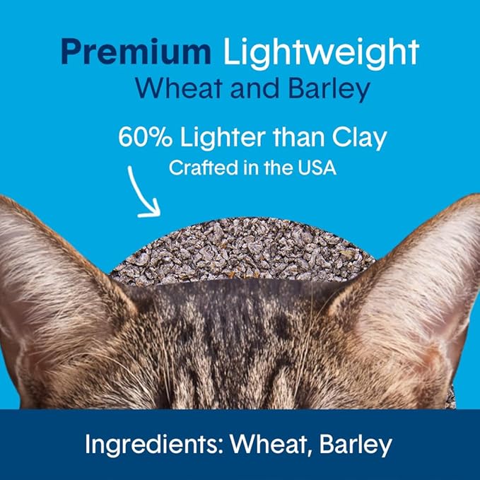 Boxie® Unscented 30 Day Natural Odor Control Cat Litter, 11.5lb Lightweight Plant Based Kitty Litter