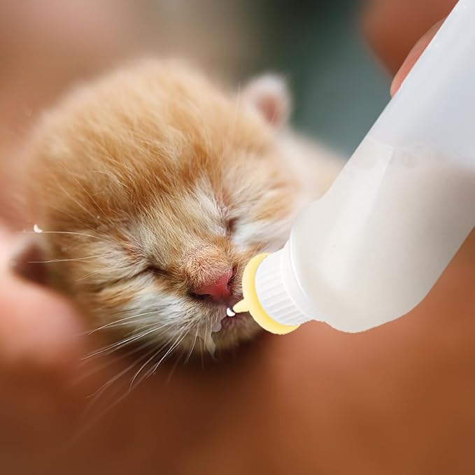5Pack Kitten Bottle for Nursing Puppy Milk Kitten Bottles Feeding Kit Silicone Nipple for Newborn Pets Kittens, Puppy,Squirrel (Yellow)