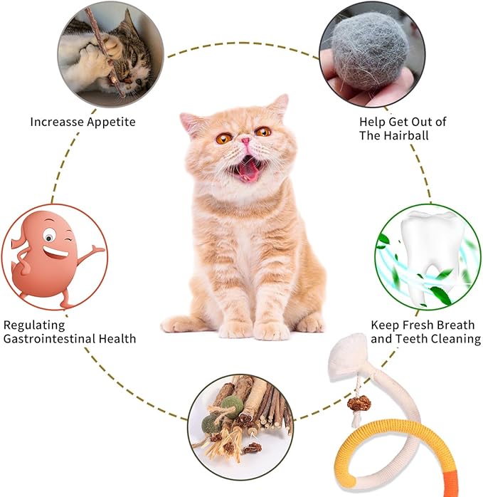 Cat Toys Cat Chew Toys, Silvervine Sticks Catnip Rope Toys for Cats Teeth Cleaning, Kitten Dental Care, Kitty for Indoor Cats Increase Appetite,Enhances Oral & Dental Health (21 Pack)