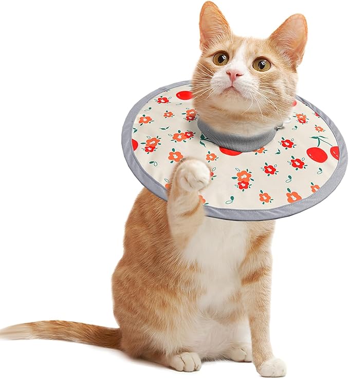 LOS ANDES Cat Recovery Collar for Necks, Alternative to Cones, Lightweight Post-Op Kitten and Puppy Protection