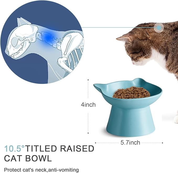 Ceramic Elevated Cat Bowl, Raised Cat Food Water Bowl for Indoor Cats with Stand, Titled Anti-Vomiting Cat Dish，Whisker Friendly, All Life Stage