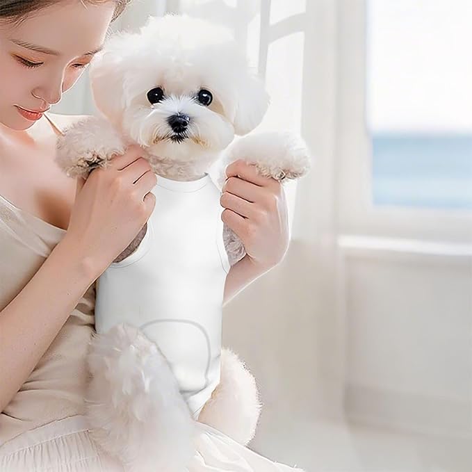 Personalized Cat Surgery Recovery Suits Female Cat Spay Suit Clothes for Little Animals