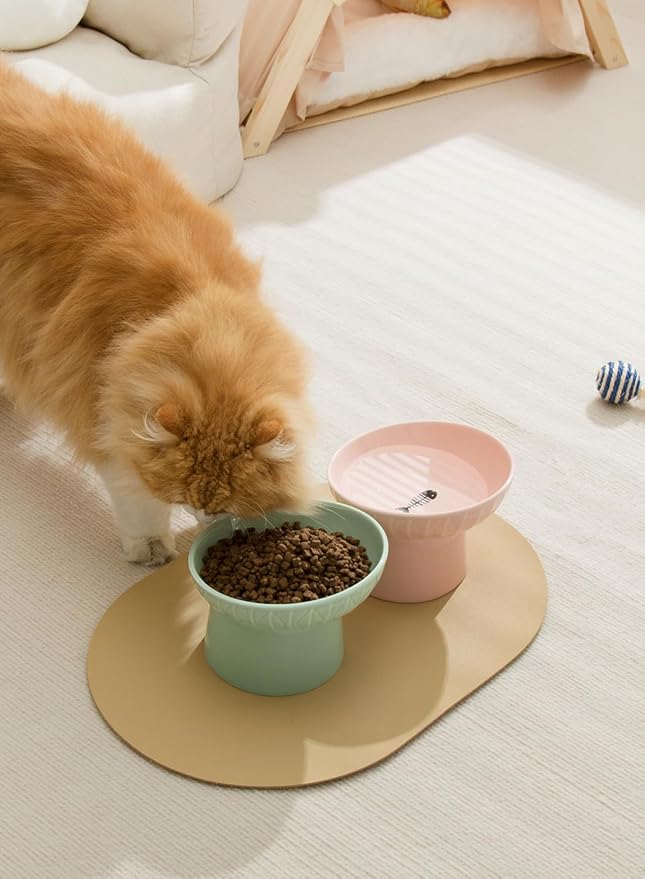 OMAYKEY Extra Wide Raised Cat Bowls, 6.5 Inch Wide Ceramic Tilted Elevated Cat Bowl, Prevent Neck & Whisker Fatigue, Anti Vomit for Cats Puppies, Dishwasher and Microwave Safe, 2 Pack