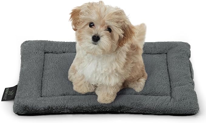 20.8" x 15” Machine-Washable Fluffy Dog Bed for 24" Kennel, Soft Crate Mat with Non-Slip Bottom, Cozy Pet Pad for Sleeping, Small Dog Kennel Flat Bed