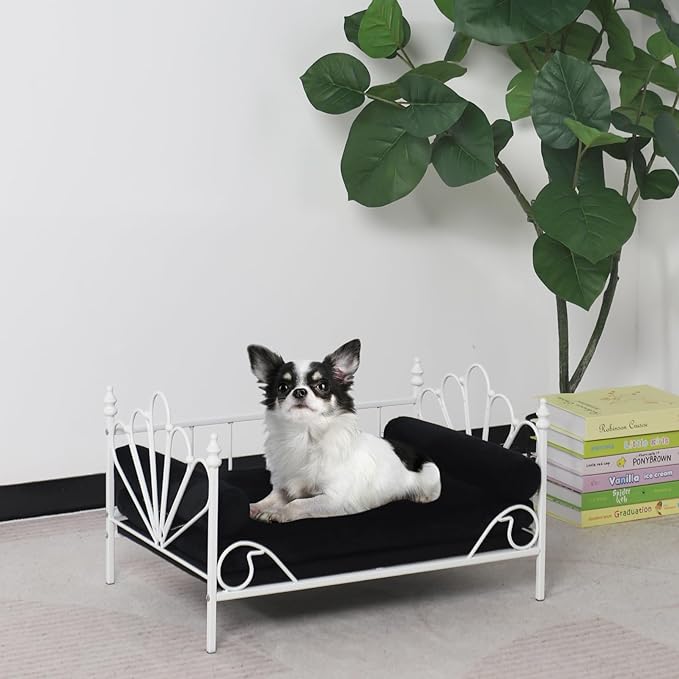 Pet Sofa Bed, Cat Bed,Dog Bed,Cat Couch,Pet Couch,Metal Frame and Detached Velvet Cushion，Cool Dog Couch for Small Cats &Dogs&Puppy Summer Using (White)