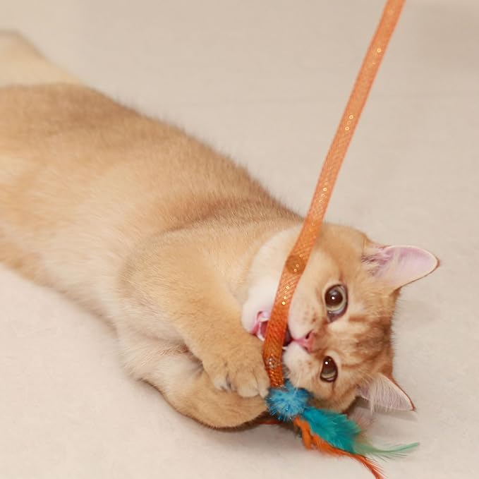 Interactive Cat Toys with Feather, Stretchable Mesh Tubes Toys with Bell and Catnip Inside, Colorful Interactive Play String for Cats and Kittens, 3 Pcs