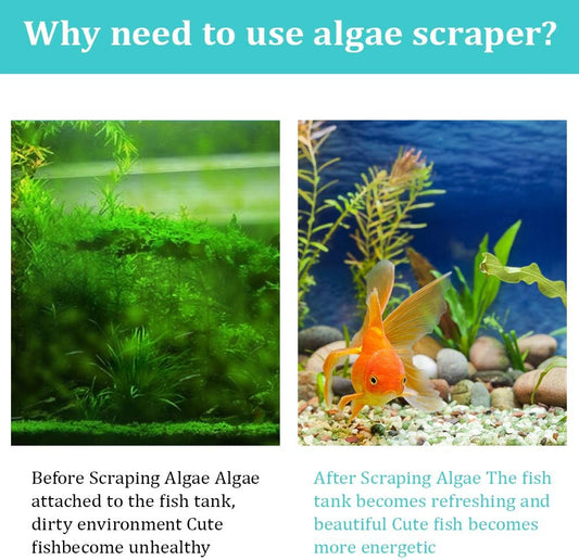 ZRDR Stainless Steel Algae Scraper Aquarium Cleaning Tool for Glass Aquariums, Including Algae Scraper, Sponge Pad, Fish Net, Cleaning Brush, Adjustable Length, Durable, Does Not Hurt The Fish Tank