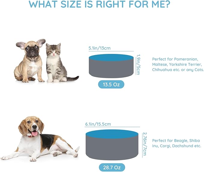 SPUNKYJUNKY 13.5OZ Ceramic Dog and Cat Bowl, Modern Cute Weighted Food Water Bowl for Replacement Blue-Grey (2 Pack)