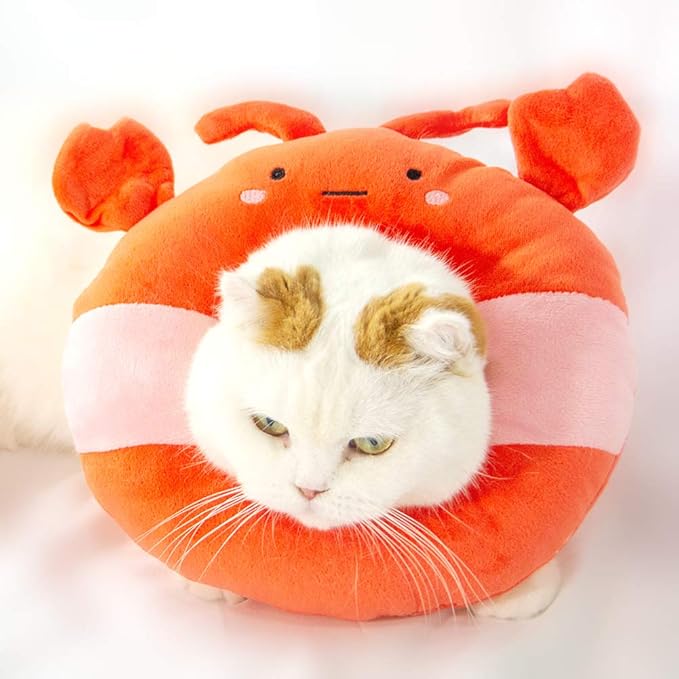 Adjustable Cat Recovery Collar Soft,Cute Pet E-Collar Neck Cone After Surgery Wound Healing Protective Cone Fit for Kitties, Small Dogs(ELC05-lobster-l)