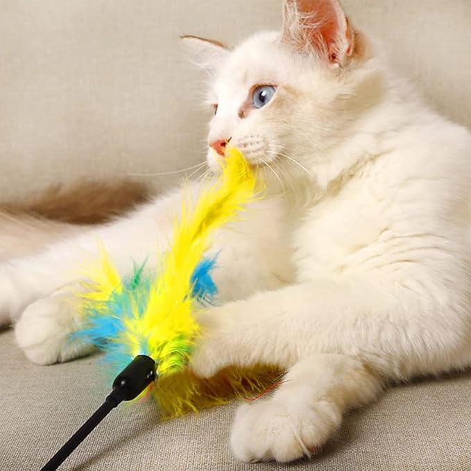 IUHKBH Cat Wands, 6 PCS Colorful Feather Stick Flexible Kitten Wand Interactive Cat Toys, Safe for Your Kitty