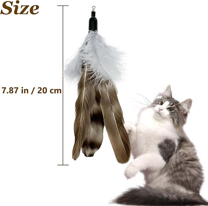 Cat Feather Toy Refills, 8 Pieces Natural Da Bird Feathers Refills, Cat Wand Replacement Feathers for Cat Toys