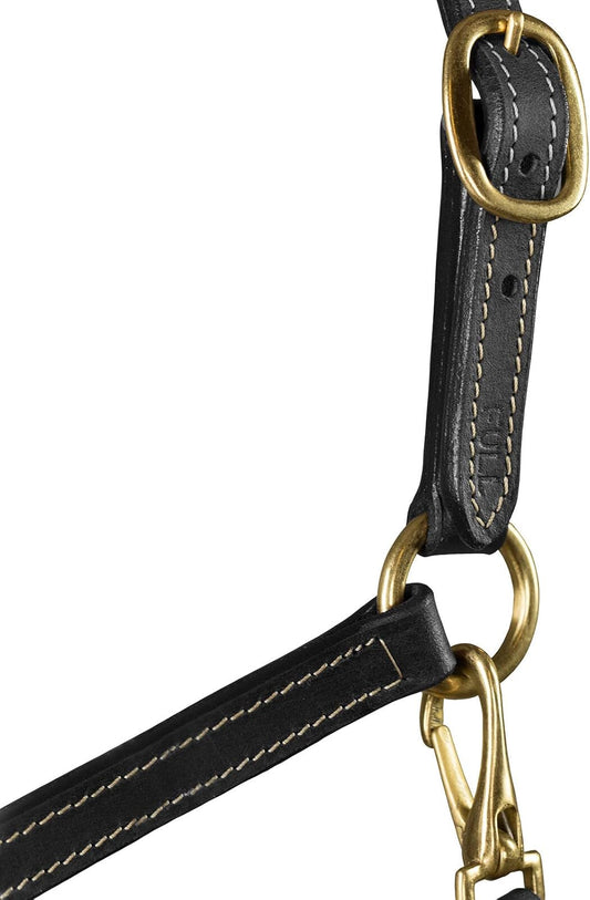 HORZE Fremont Soft Synthetic Leather Horse Halter | Fully Adjustable with Brass Hardware & Contrast Stitching - Black - Horse