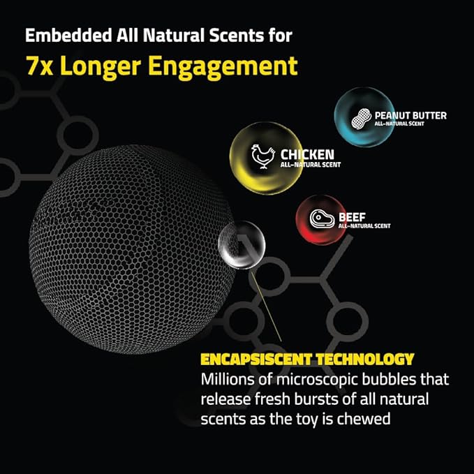 Playology Squeaky Dog Toy | Durable Rubber Interactive Dog Ball | Beef Scented Fetch Ball for Medium Dogs | Floating Dog Toy Made from Non Toxic Materials