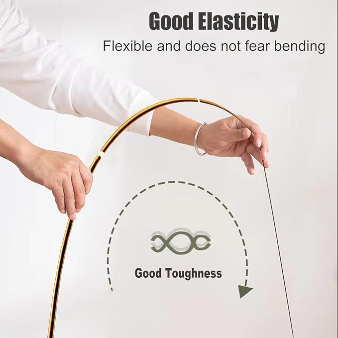 Interactive Cat Wand Toys Set, 2PCS Cat Teaser with 6 Replacement Birds, Feathers & Bells for Indoor Play