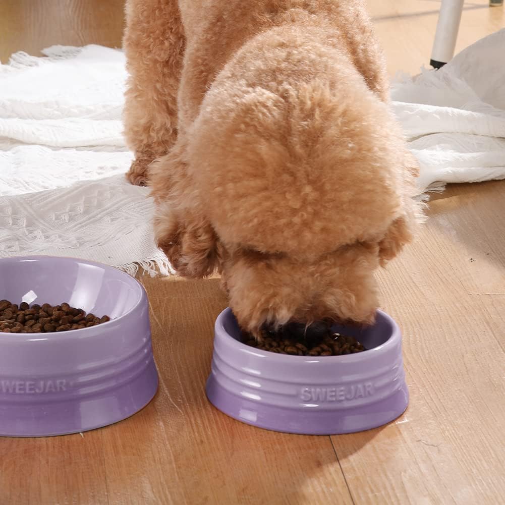 Sweejar Gradient Dog Bowl, Ceramic Dog Food Dish for Puppy and Kitten, Porcelain Pet Bowl for Food and Water 8 oz (Gradient Purple)