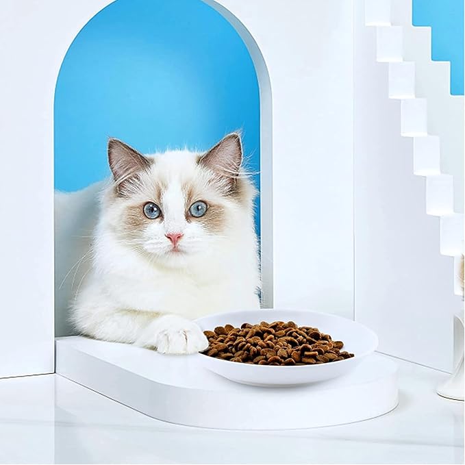 10 Pcs Wide & Shallow Cat Plates for Whisker Fatigue Relief, 15cm/6'' Ceramic Feeding Dishes With Cute Fish Bone Design, Wet & Dry Food Bowls for Kittens, Cats, Puppies