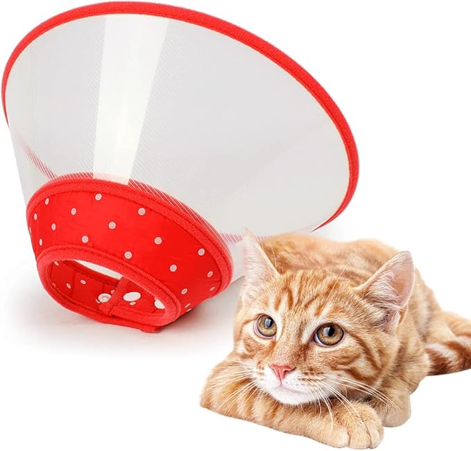 Pet Cone Recovery Dog Cone Adjustable Dog Collar Clear Padded Collar with Breathable Soft Edge, Plastic Puppy Cone Protect The Neck Surgery Recovery, Designed for Cats and Puppies (Small, Red)