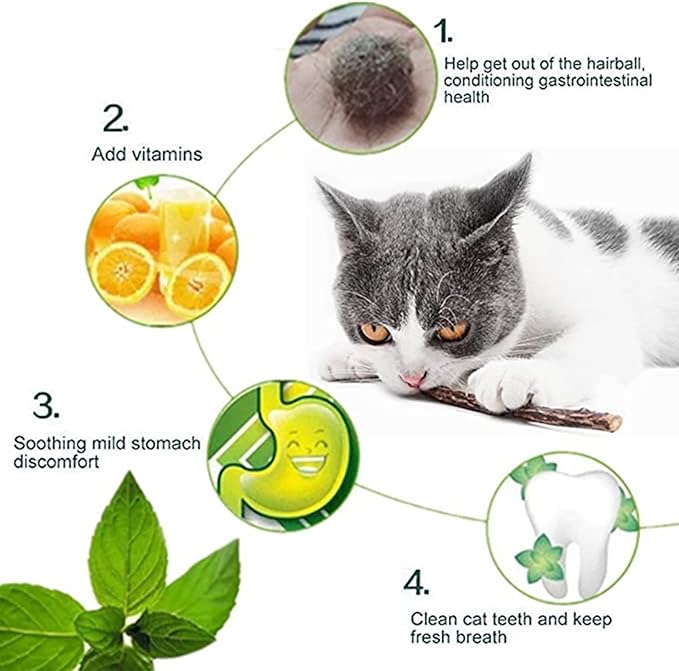 Ueerdand 50 PCS Catnip Sticks Organic Kitty Chew Toys Natural Plant Matatabi Silvervine Chew Sticks Kitten Teeth Cleaning Chew Toy