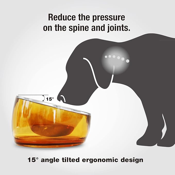 Felli Pet Oblik Acrylic Raised Dog Food Water Bowl Stainless Steel Slanted Oval Dish for Short Leg Puppy & Small Medium Pet, Elevated Tilted Metal Feeder Angled Plastic Spill Proof (1.5Cups, Gold)