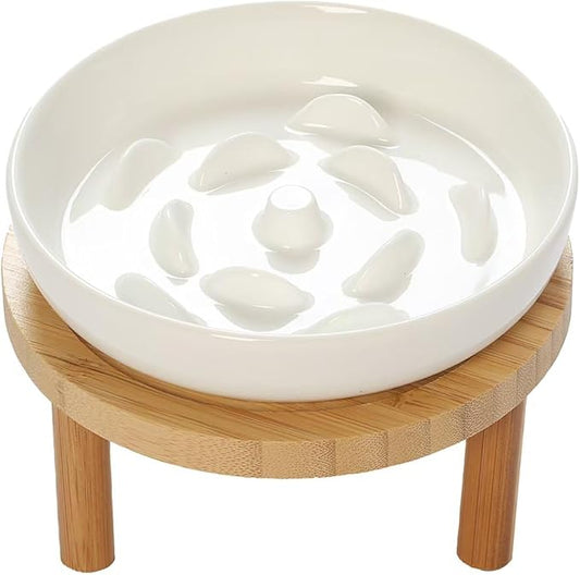 Raised Slow Feeder Cat Bowl, 5.9 Inch Wide Shallow Ceramic Elevated Glass Food Bowl Puzzle Feeders, Anti Vomit Cat Dish, Whisker Friendly Pet Plates Feeding Station for Indoor Cats, Kitten(1 Set)