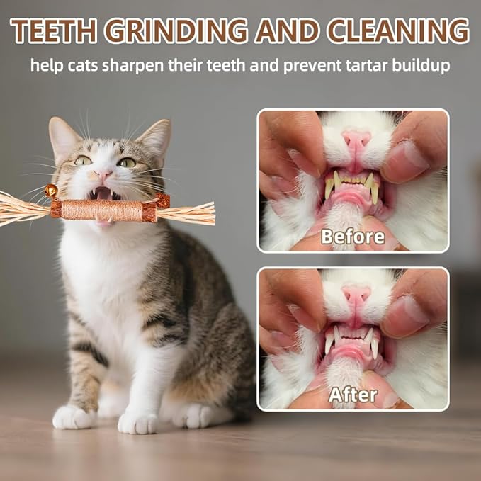 Natural Dried Matatabi Cat Chew Stick with Gall Fruit, Raffia Grass & Bell Cat Ball Toys, Handmade Silvervine Sticks Interactive Catnip Toys for Teething & Entertainment (Size M Color D)