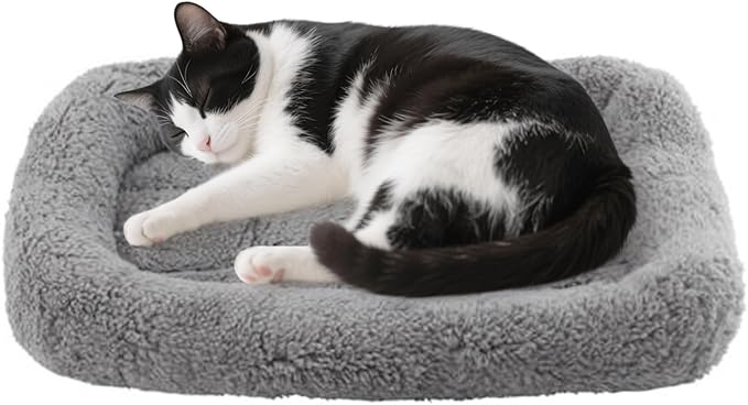 PETLESO Cat Bed Mat with Surrounding Pillow, 22" x 16" Plush Cushion for Small to Meidum Dogs & Cats Sleeping, Indoor Pet Beds Furniture Carrier Crate Anti Skid Pad, Washable, Medium